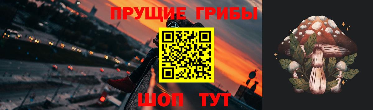 Псилоцибиновые грибы Psilocybine cubensis Коломна